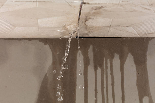 Professional Water Damage Repair technician working in Montrose, CA